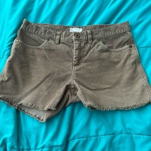 Carve Designs size 6